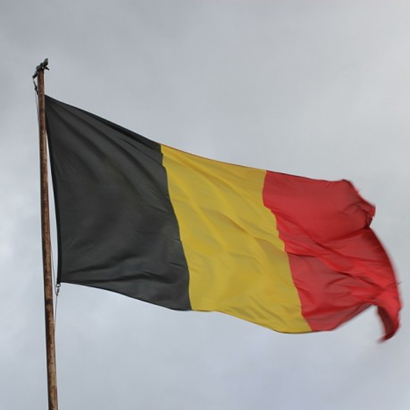 Belgien har godkendt 250 millioner euro i offentlige midler til at bygge et landsdækkende hydrogenrørledningsnet til Tyskland