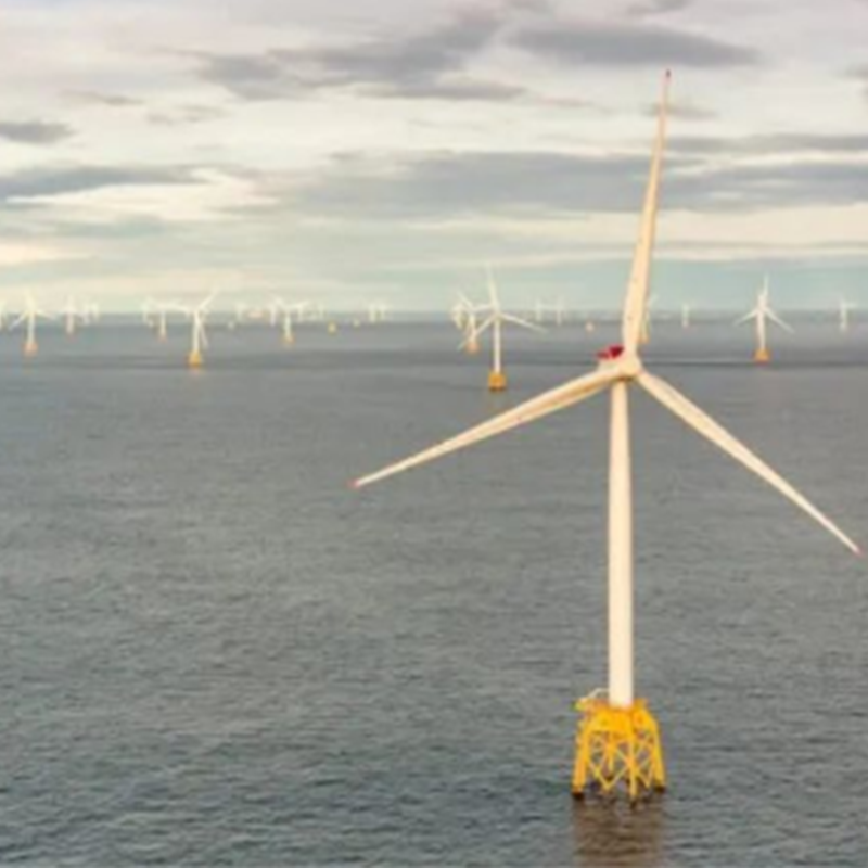CIP samarbejder med mexicanske myndigheder om grønt brint og marinebrændstofprojekter