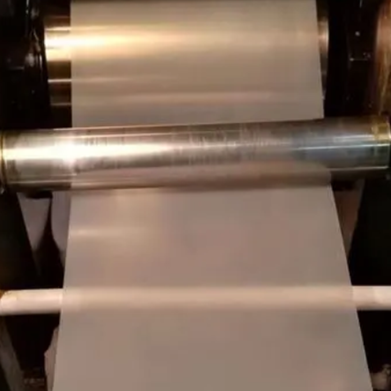 To store manifestationer af protonmembranfejl